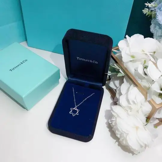 Tiffany necklace lyh64 (5)